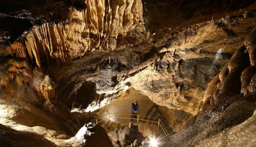 Hotel CROCUS **** Vysoké Tatry